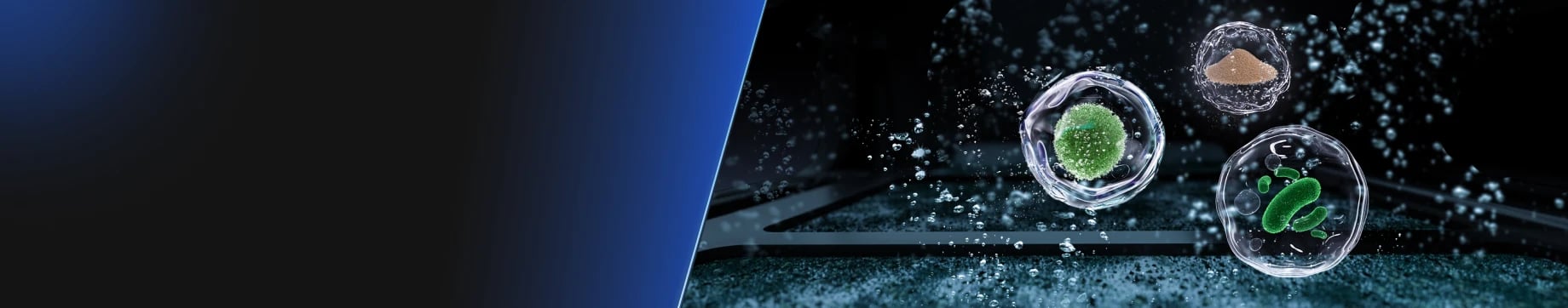 Pool robot filter and fine debris cleaning view
